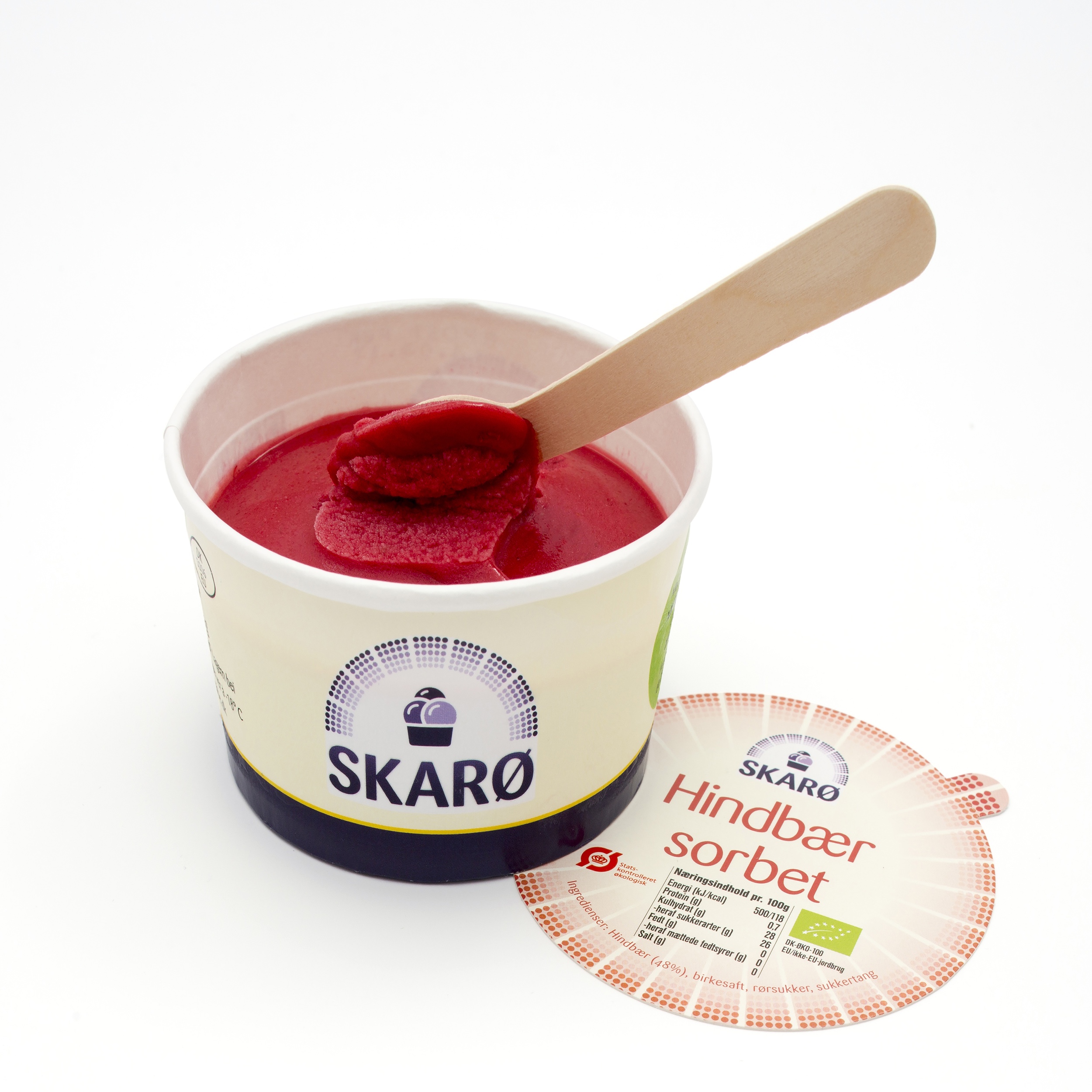 Veganes Himbeersorbet