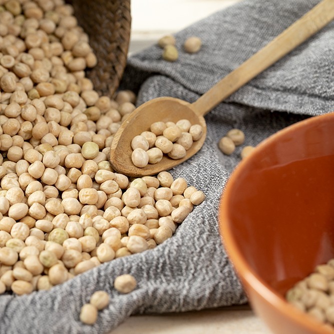 Ökologische Dänische Pioniere