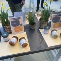 Rømer Vegan Schafft In Deutschland Den Großen Durchbruch